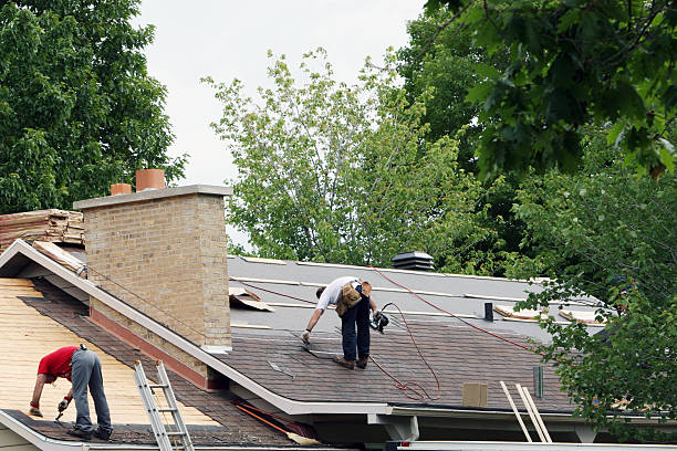 Roof Gutter Cleaning in Port Arthur, TX